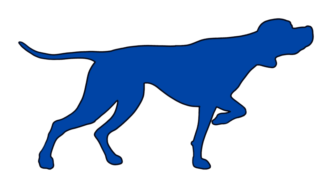 Pointer